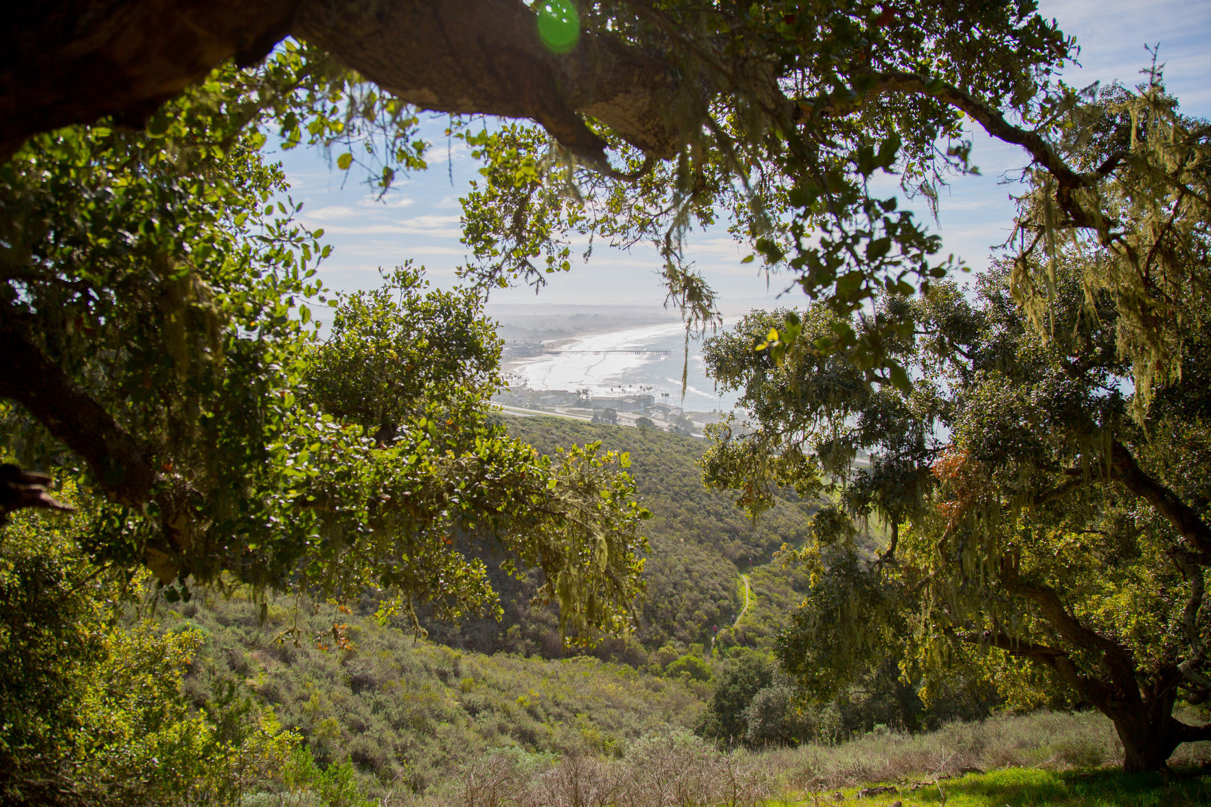 012520 Pismo Preserve 15.jpg